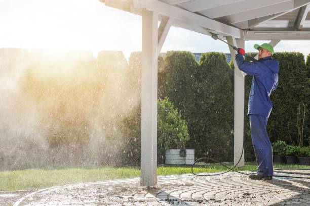 Best Dumpster Area Cleaning  in Holden, MO